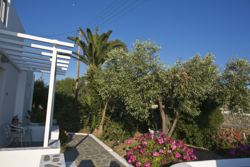 Anna-Maria Mykonos Hotel Glastros  Exterior foto