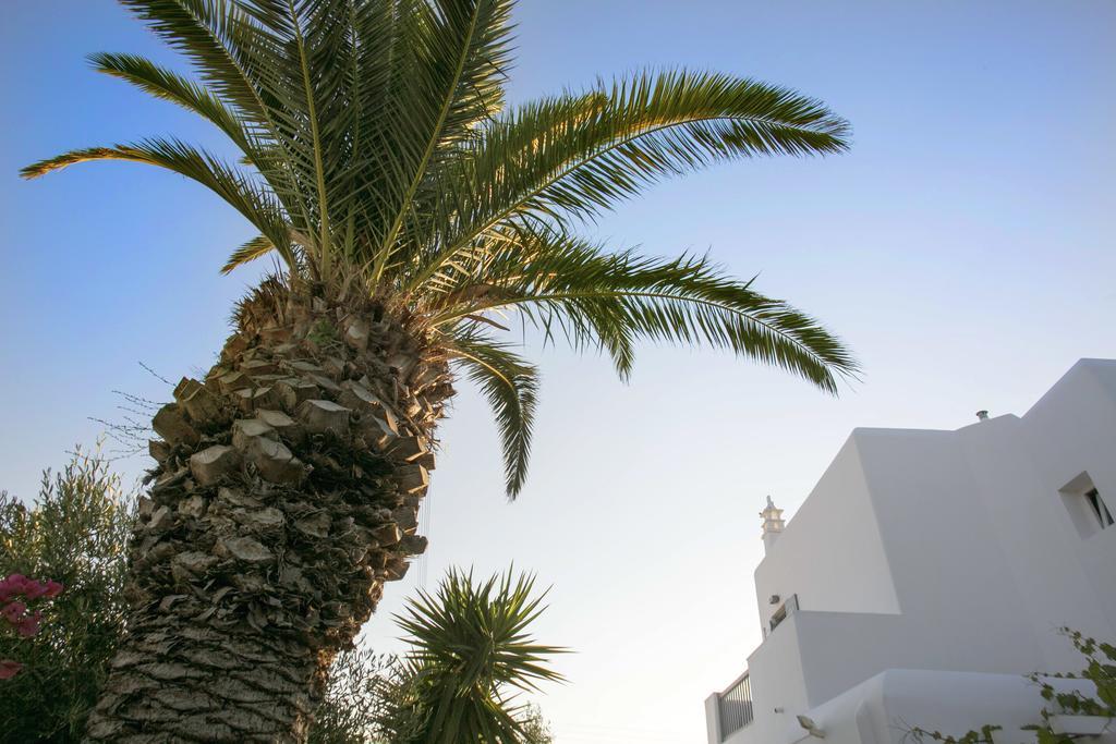 Anna-Maria Mykonos Hotel Glastros  Exterior foto